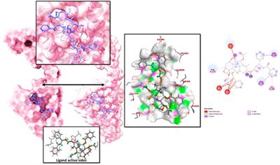 Action of the plant-based essential oil-derived compound Taxol for improvising drought tolerance in Eucalyptus by modulating the VIT1 channel protein: a cutting-edge computational approach